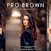 Photoshop Pro Brown Preset XMP Free Download