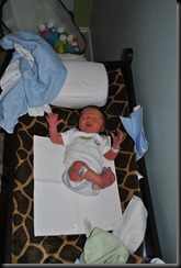 cullens birth 419