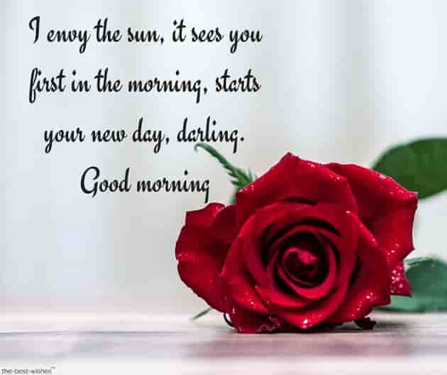 good morning text messages for your crush with red rose