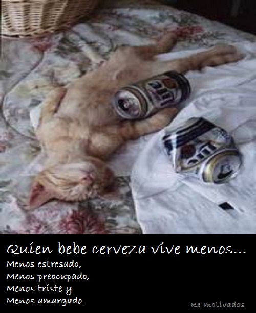 Quien bebe cerveza vive menos...