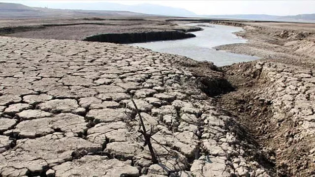 65 percent of Türkiye at risk of desertification: Report