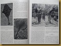 Buku De Wonderen Van Het Dieren Rijk - hal 14
