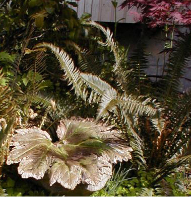 Concrete Leaf Bird Bath