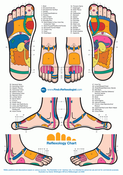 Gambar Titik Refleksi, Pijat Refleksi, Akupressure