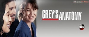 Anatomía de Grey | Temporada 16 [Español Castellano y Latino] HD [MEGA]