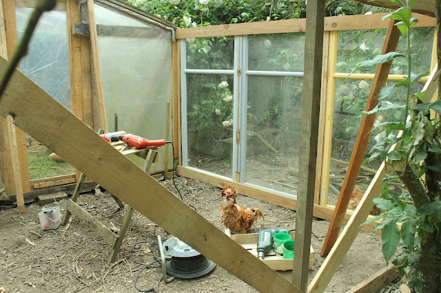 Building a safe quail house