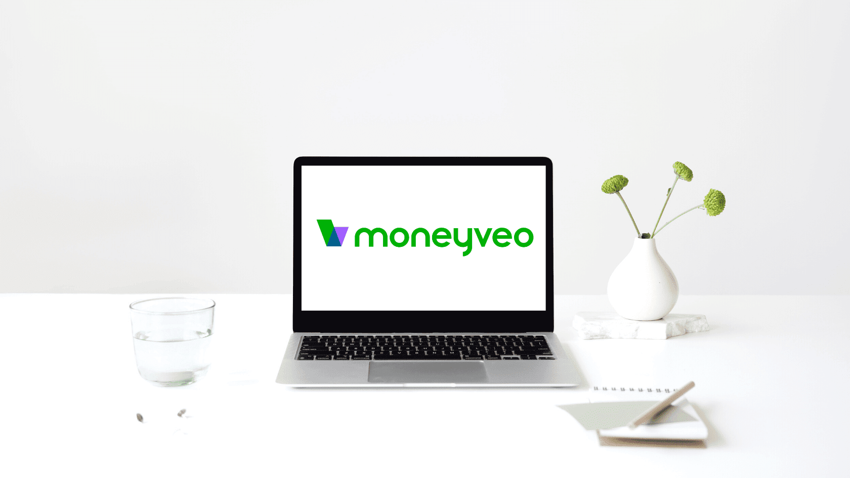 Условия кредитования Moneyveo