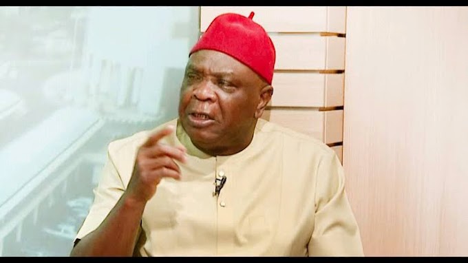 I Fought For Biafra, Your Only Contribution To Igbos Is Kissing Women In Movies — Ulasi Tells Okonkwo