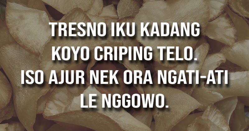 Kata Kata Bijaksana Bahasa Jawa