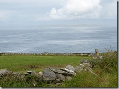 P1050678