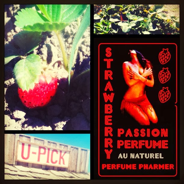 Strawberry Passion Video Review by EauMG