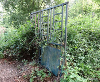 urbex-seine-et-marme-chateau-anges-sources-popkov-angelots-jpg