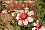 love letter in hindi love Romantic