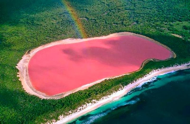 Pink Hillier Lake of Middle island, Australia