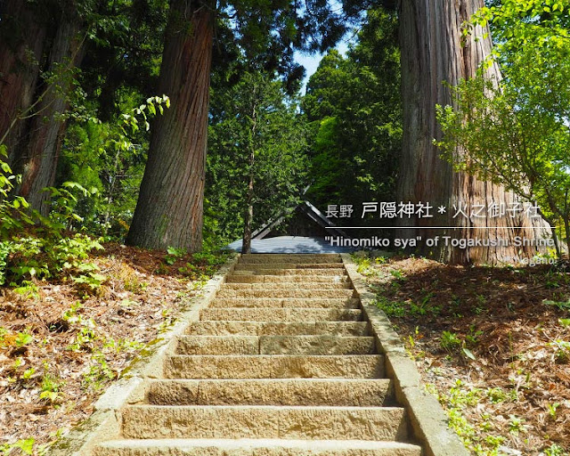 戸隠神社：火之御子社