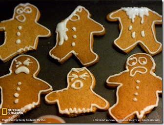 gingerbread-men-cookie serial killer