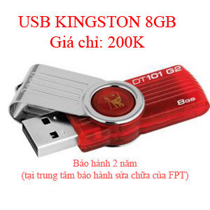 USB KINGSTON 8G FPT