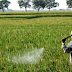 The Danger Of The Use Of Pesticides For Farmers.