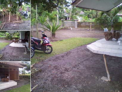View album