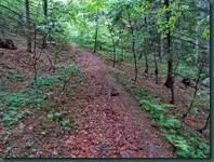 SAM_2054