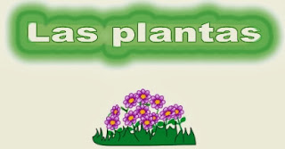 http://www.ceiploreto.es/sugerencias/juntadeandalucia/Plantas/index.htm