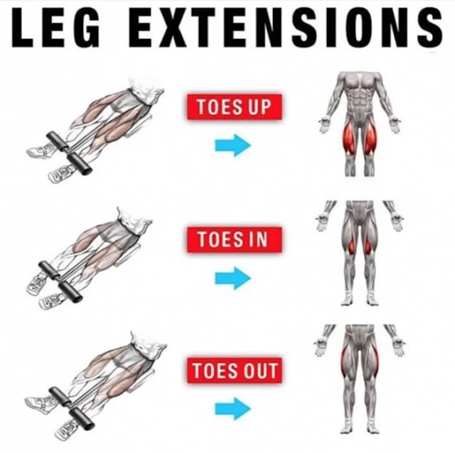 Gain Leg Mass With This 4 Week And Daily Multiple Exercise Plan