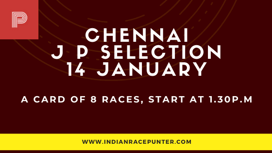 Chennai Jackpot Selections 14 January