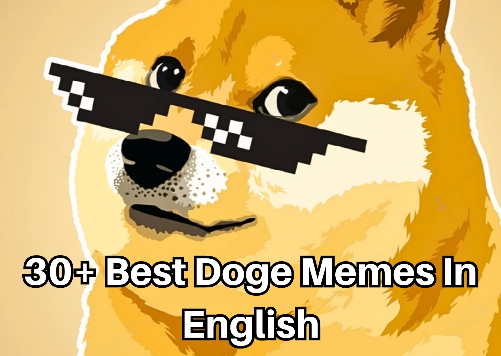 30+ Best Doge Memes in English