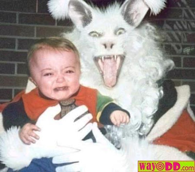 easter bunny pictures funny. happy easter funny bunny.