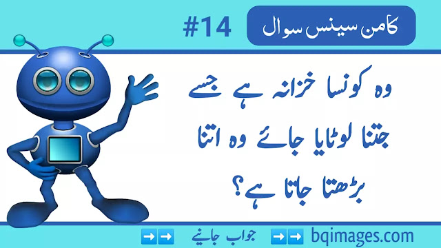 Common Sense Questions in Urdu