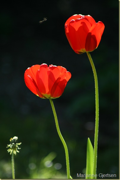 098