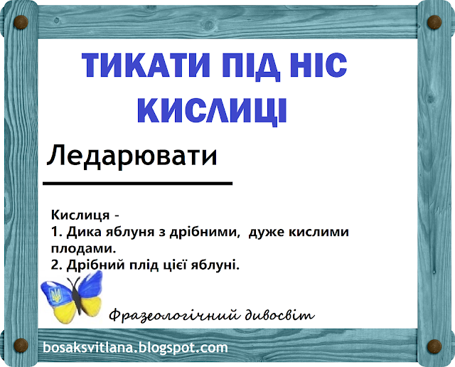 Тикати під ніс кислиці. Фразеологічний дивосвіт