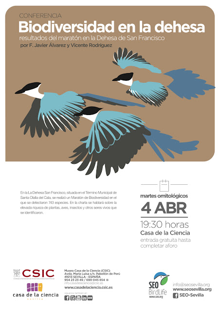 Conferencia: Biodiversidad en la Dehesa. Resultados del maratón en la Dehesa de San Francisco. Por F. Javier Álvarez y Vicente Rodríguez, 4 de Abril 2017. Grupo Local SEO-Sevilla.