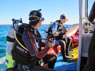 divers on boat