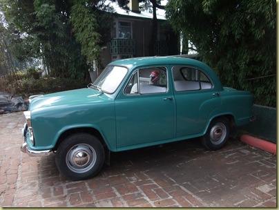 Darjeeling Ambassador
