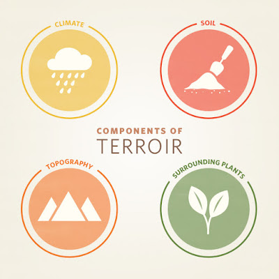 terroir is about the growing environment