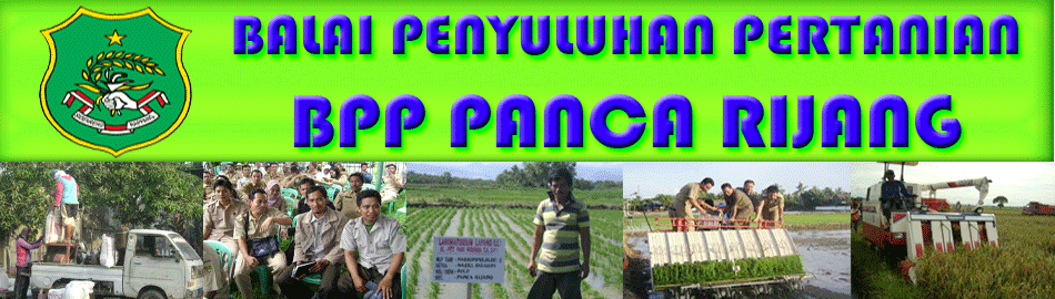  Blog BPP Panca Rijang, Kabupaten Sidenreng Rappang, Sulawesi Selatan