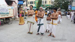 Sri Aandal,Aadipooram,Purappadu,Video, Divya Prabhandam,Sri Parthasarathy Perumal, Triplicane,Thiruvallikeni,Utsavam,