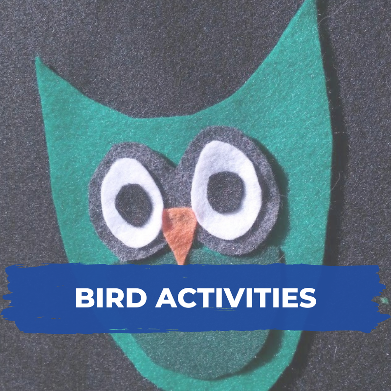 Bird activities for kids