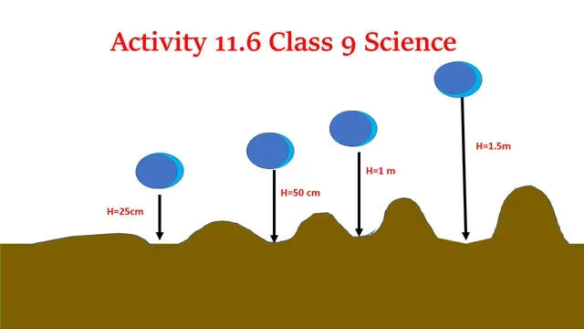 Activity 11.6 Class 9 Science Chapter 11Work and Energy