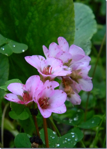 DSCN1374