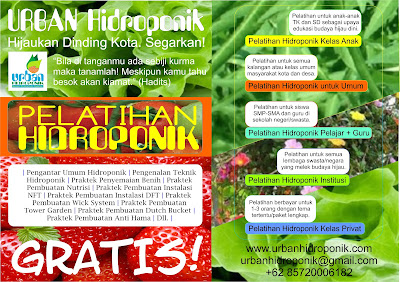 pelatihan hidroponik gratis, urban hidroponik, urban farming