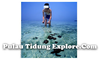 pulau tidung explore