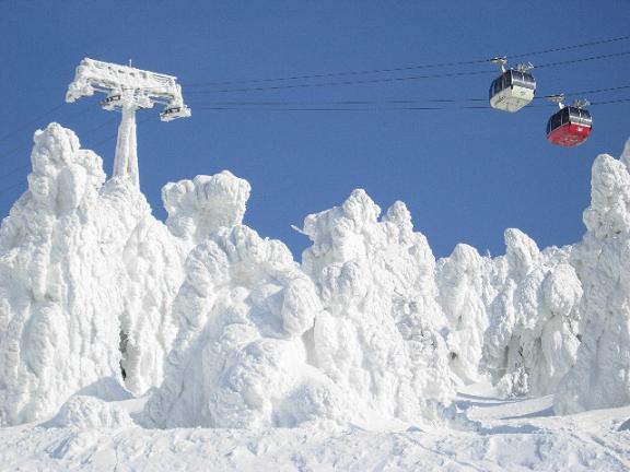 monstros de neve no japão árvores