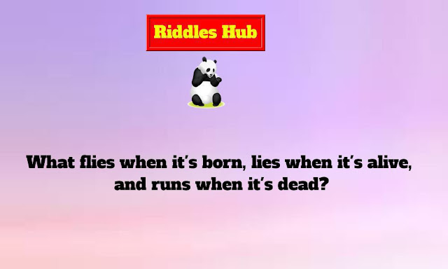 http://www.riddleshub.com/