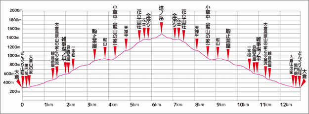 塔ノ岳　高さ