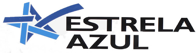 Resultado de imagem para transportes estrela azul logotipo