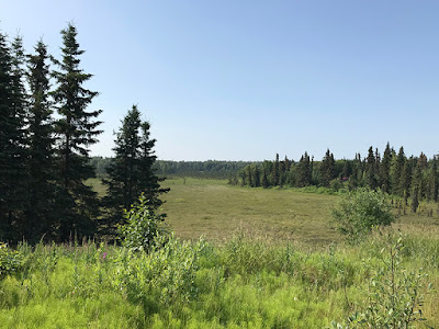 Landscape off the 1 between Ninilchik and Soldotna, Alaska