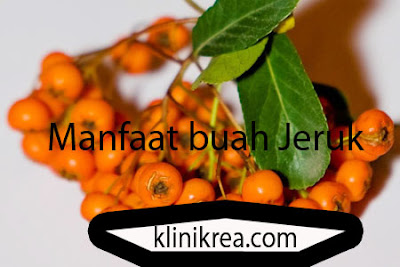 Manfaat Buah Jeruk