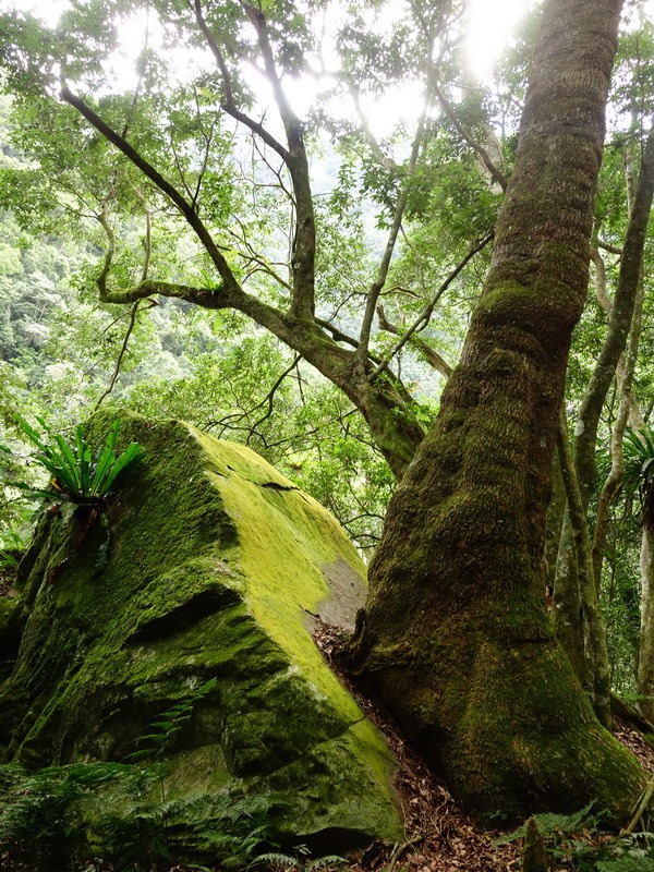2014_0101-0105 萬山神石、萬山岩雕順訪萬頭蘭山_0611